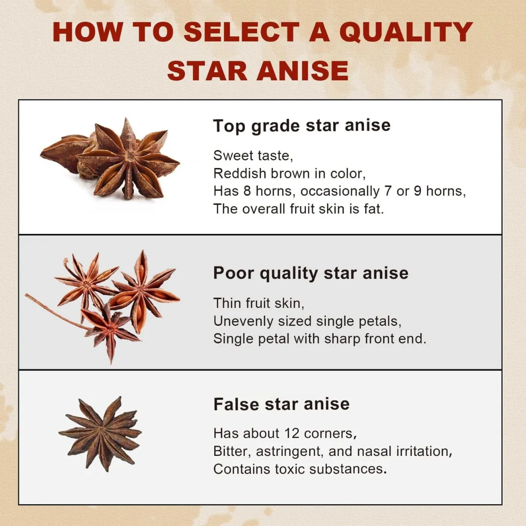 Everest Star Anise buy online USA - 4
