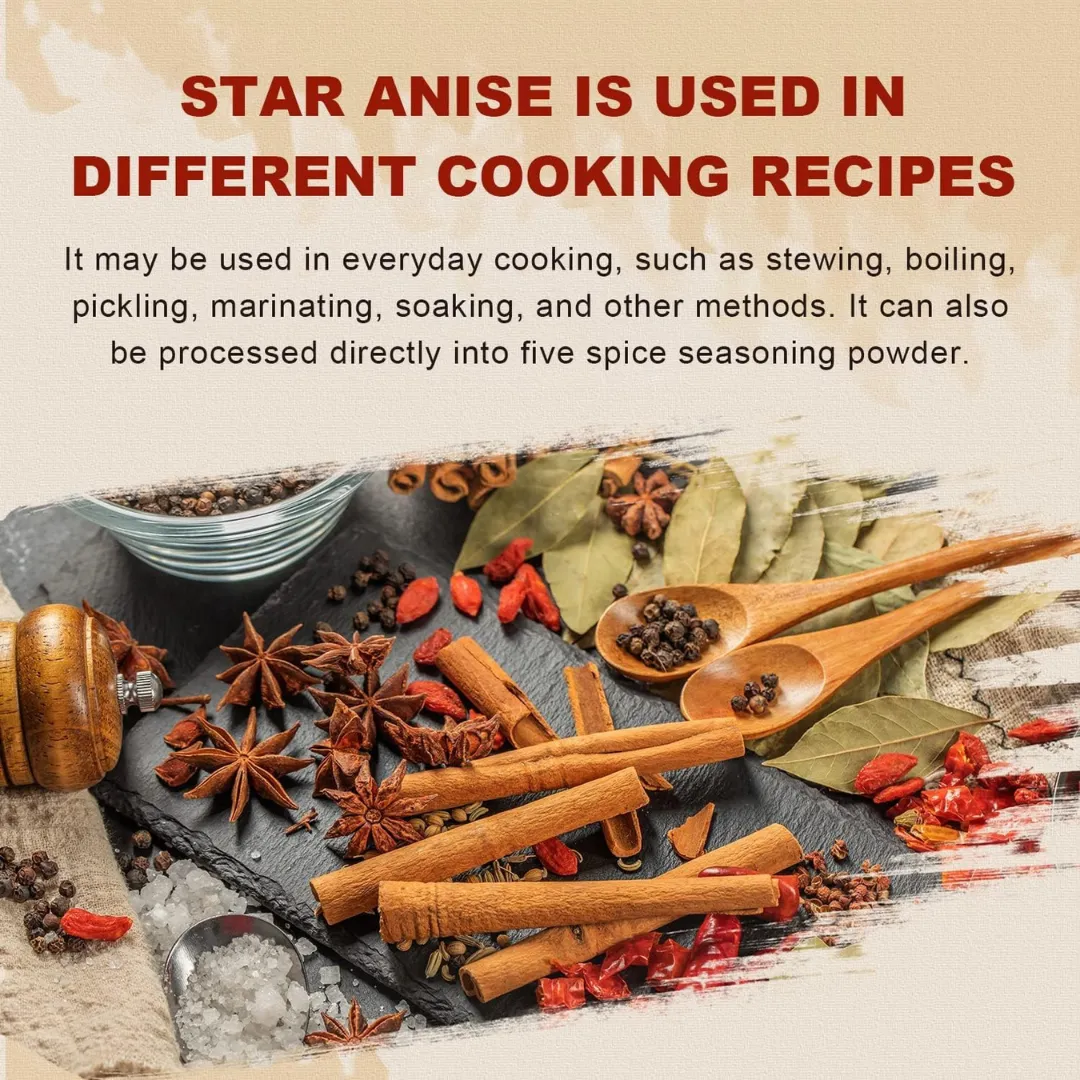 Everest Star Anise buy online USA - 6