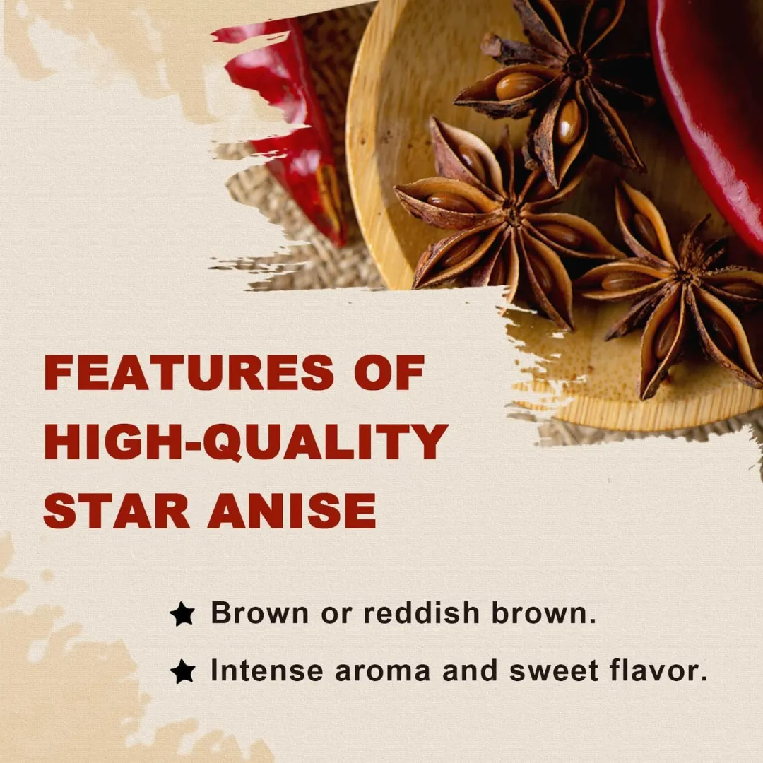 Everest Star Anise buy online USA - 5